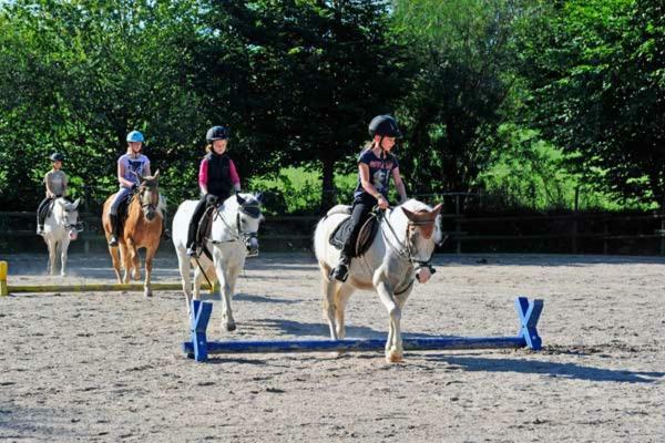 Familienhotel Reiterhof Runding Екстериор снимка