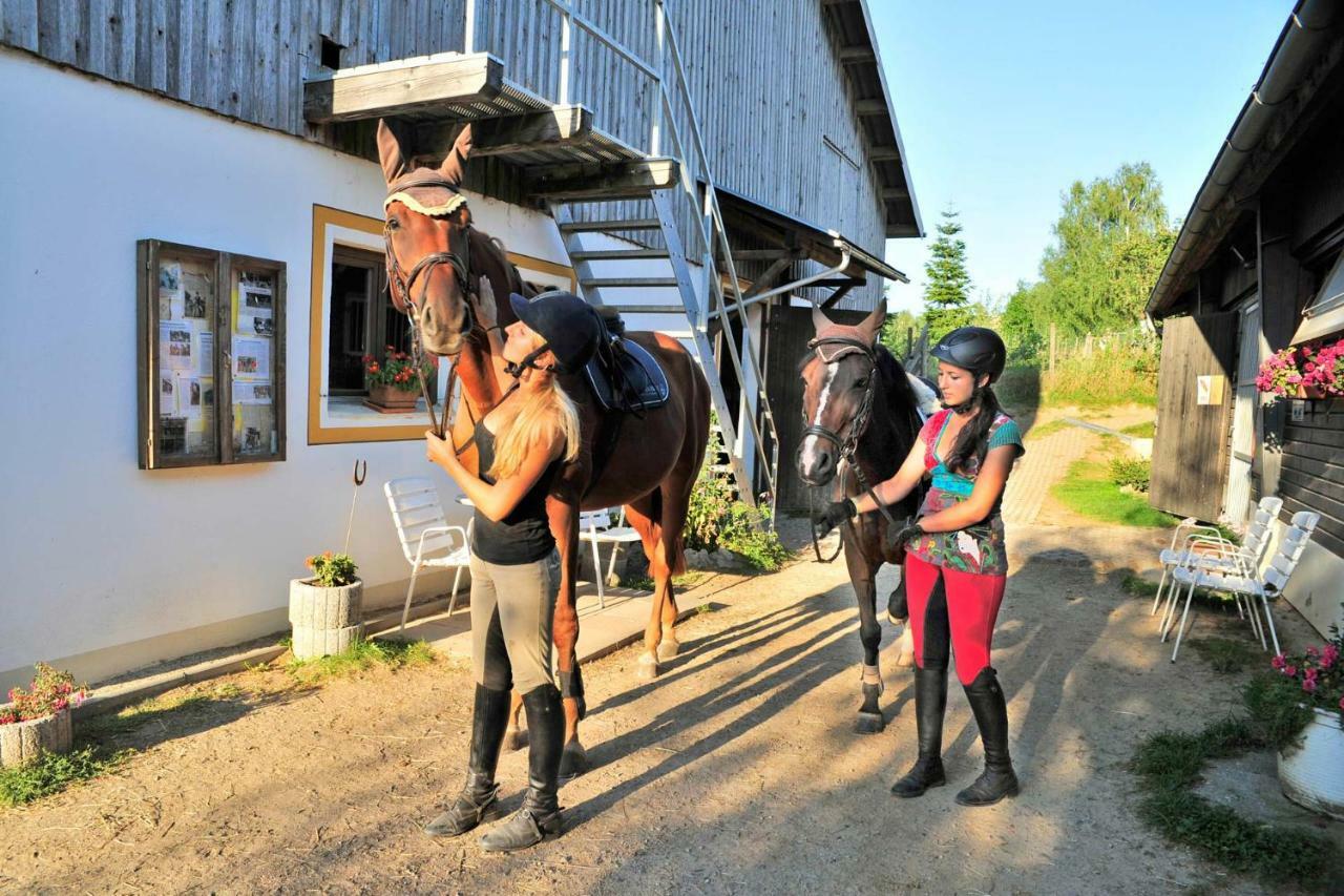 Familienhotel Reiterhof Runding Екстериор снимка